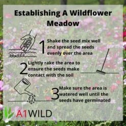 A1WILD UK Native 100% Wildflower Seed Mix -Outdoor Garden Care Shop 4 8