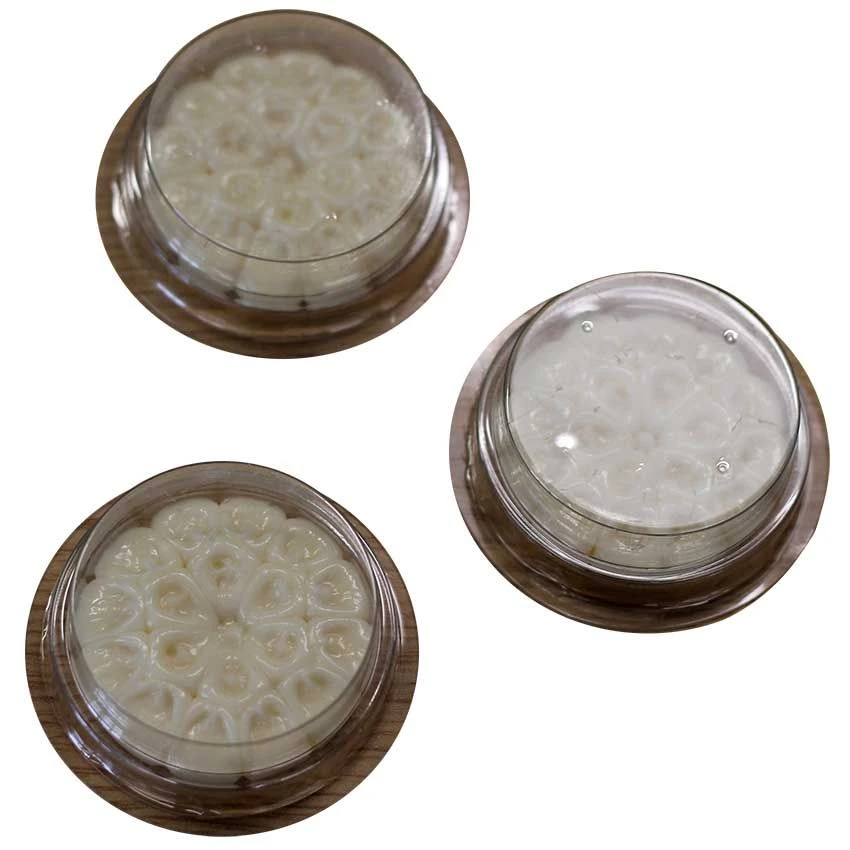 Bird Free - Immediate Bird Control Without Causing Harm - Pack Of 15 3 Bird Free - Immediate Bird Control Without Causing Harm - Pack Of 15 - Image 3