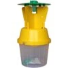 Chafer Beetle Trap With Pheromone For Capturing Adults