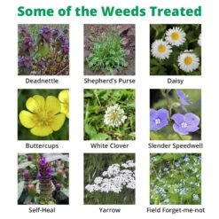 Dicophar - Selective Lawn Weed Killer -Outdoor Garden Care Shop dicophar extra