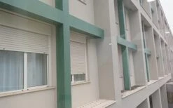 Bird Free - Immediate Bird Control Without Causing Harm - Pack Of 15 7 Bird Free - Immediate Bird Control Without Causing Harm - Pack Of 15 -Outdoor Garden Care Shop dishes on window sill