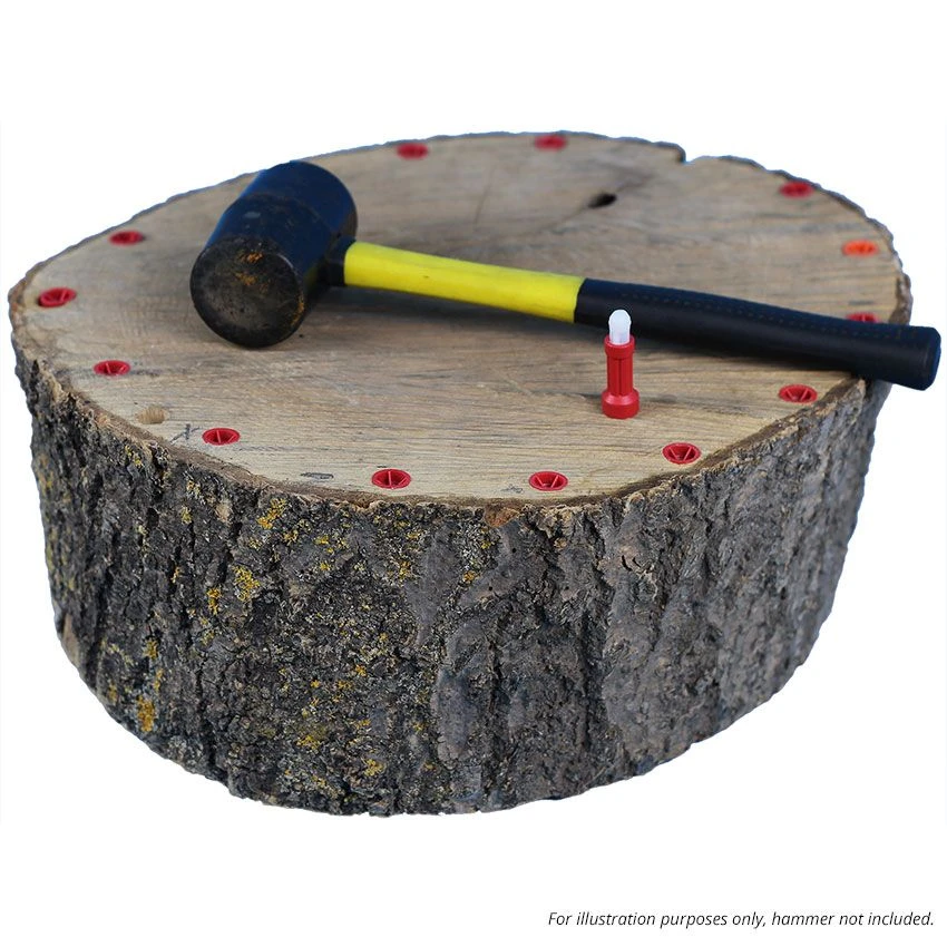 Ecoplug Max 100 Plugs - Prevent Tree Stump Regrowth 1 Ecoplug Max 100 Plugs - Prevent Tree Stump Regrowth