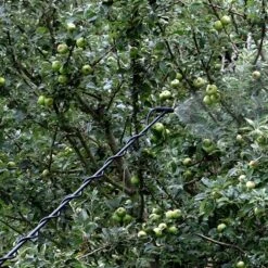 Matabi Telescopic Spraying Lance - C/w Adaptor For Cooper Pegler Triggers 7 Matabi Telescopic Spraying Lance - C/w Adaptor For Cooper Pegler Triggers -Outdoor Garden Care Shop matabi telescopic lance 2