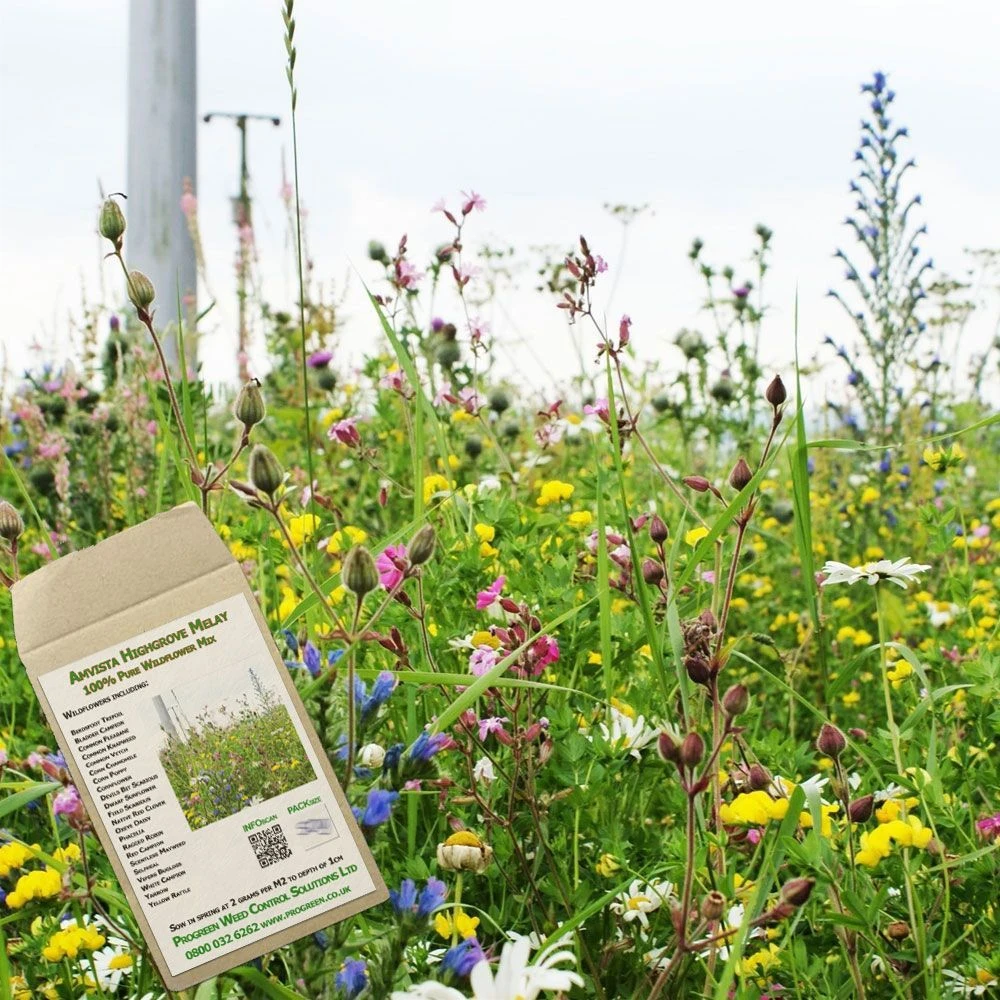 Amvista Highgrove Melay Pure Wildflower Mix 100% 1 Amvista Highgrove Melay Pure Wildflower Mix 100%