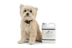 Safewash UK Organic Outdoor Cleaner -Outdoor Garden Care Shop safewash and a dog 2