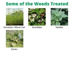 SBK Brushwood Killer 1 L - For Control Of Tough Woody Weeds -Outdoor Garden Care Shop sbk extra 2