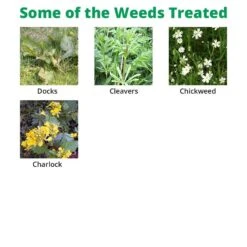 Squire Ultra - Clover Safe Herbicide -Outdoor Garden Care Shop squire extra